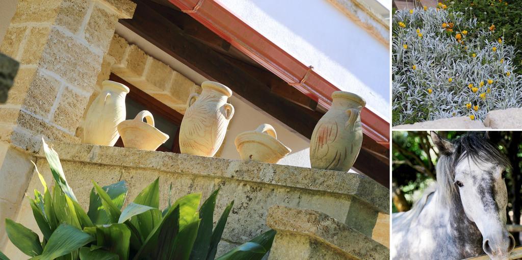 Hotel Masseria L'uliveto Agri