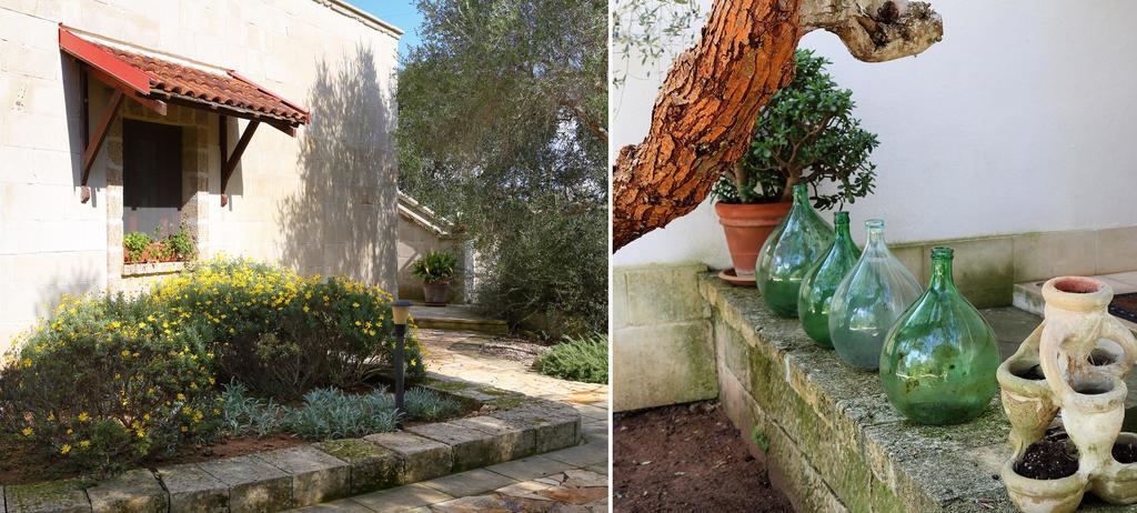 Masseria L'uliveto Agri
